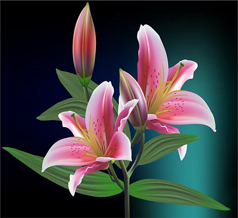 hoa ly hoc do hoa cap toc